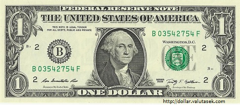 Amerikan Dollari